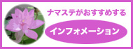 ナマステがおすすめするインフォメーションハウス
